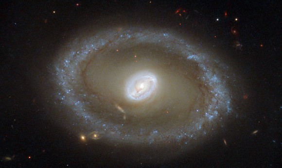 Hubble Space Telescope picture of galaxy NGC 3081. Credit: ESA/Hubble & NASA; acknowledgement: R. Buta (University of Alabama)