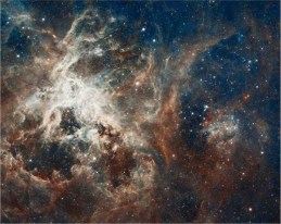cmimg_72906