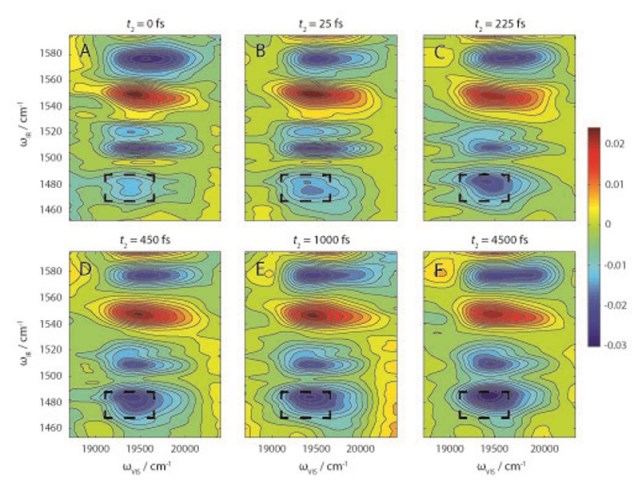2-D-EV spectral data tells researchers how photoexcitation of a molecular system affects the coupling of electronic and vibrational degrees of freedom that is essential to understanding how all molecules, molecular systems and nanomaterials function. Credit: Fleming group