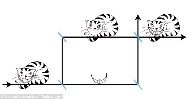 Scientists have observed for the first time a weird quantum phenomenon known as the 'Cheshire Cat' effect (illustration shown). The 'cat' in question was a subatomic neutron particle, and the ghostly 'grin' the particle’s magnetic moment, which describes the strength of its coupling to an external magnetic field. (Credit: Vienna U)