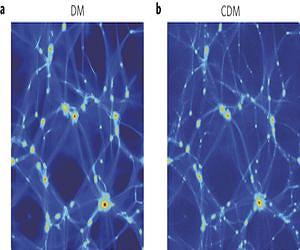This figure shows that a comparison of the distribution of matter is very similar on a large scale between wave dark matter, the focus of this research, and the usual dark matter particle. (Credit: UPV/EHU)