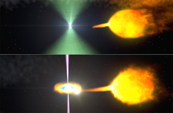 These artist's renderings show one model of pulsar J1023 before (top) and after (bottom) its radio beacon (green) vanished. Normally, the pulsar's wind staves off the companion's gas stream. When the stream surges, an accretion disk forms and gamma-ray particle jets (magenta) obscure the radio beam. NASA's Goddard Space Flight Center