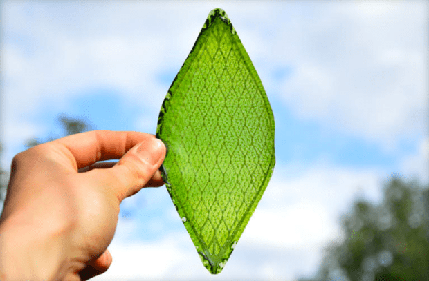 This man-made leaf could help us breathe in space. (Credit: Julian Melchiorri/Dezeen/MINI)