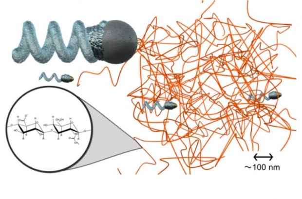The nanoprop is able to easily pass between polymer chains, like those present in bodily fluids. (Credit: 