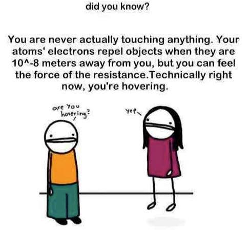 (Credit: IFL)
