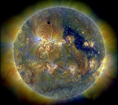 Venus can be seen as a black dot eclipsing the Sun in this image from 2012. Venus orbits too close to the Sun to the planet to be habitable for life as we know it. Venus experiences a runaway greenhouse and the average surface temperatures are thought to be around 864ºF. (Credit: NASA/SDO & the AIA, EVE, and HMI teams; Digital Composition: Peter L. Dove) 