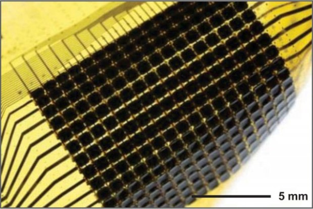Researchers have developed a flexible structure that can sense ambient conditions and adjust its color to match them. At the moment, it only works in black and white. (Credit: PNAS, Timmer)