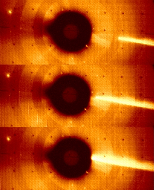 Three consecutive images of comet C/1979 Q1 plunging into the solar atmosphere on August 30, 1979. In these SOLWIND coronagraph images, the Sun is masked behind the solid disk in the center of the image. (Credit: NRL)