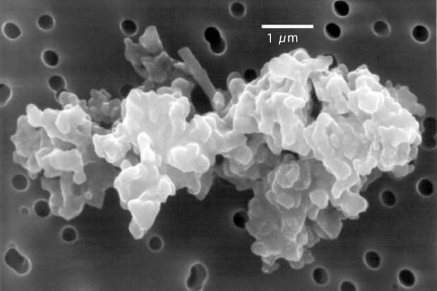 This is a scanning electron microscope image of an interplanetary dust particle that has roughly chondritic elemental composition and is highly rough (chondritic porous: "CP"). CP types are usually aggregates of large numbers of sub-micrometer grains, clustered in a random open order. (Credit: Donald E. Brownlee)