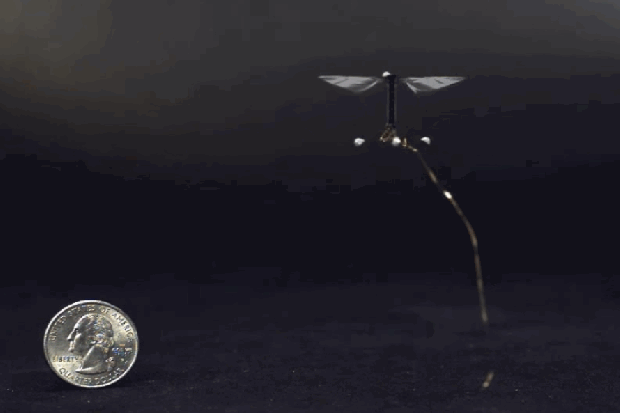 The RoboBee demonstrates a successful flight next to a quarter for scale. (Credit: Harvard University)