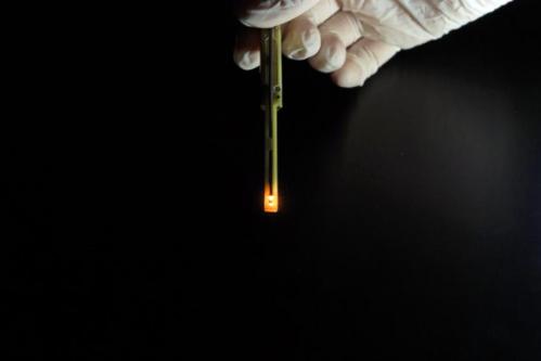 An organic light-emitting diode, or OLED, glows orange when electrical current flows through it. University of Utah physicists used this kind of OLED -- basically a plastic LED instead of a conventional silicon semiconductor LED -- to show that they could read the subatomic 'spins' in the center or nuclei of hydrogen isotopes and use those spins to control current to the OLED. It is a step toward 'spintronic' devices such as faster computers, better data storage and more efficient OLEDs for TV, computer and cell phone displays. (Credit: Andy Brimhall, University of Utah)