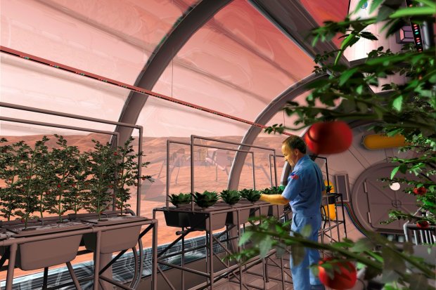 A NASA rendering of farming in Martian greenhouses.