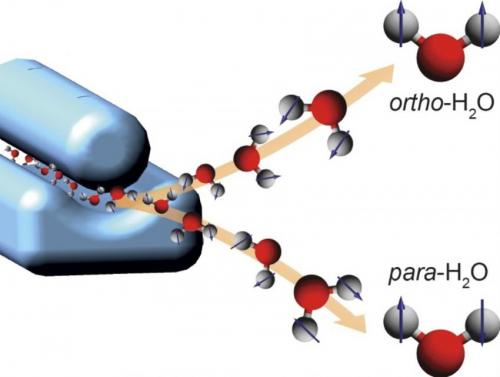 Researchers have separated the nuclear spin states of water. In para water, the spins (depicted as arrows) of water's two hydrogen nuclei cancel out. They add up in ortho water. The scientists produced an ultracold, supersonic beam of water molecules -- a mixture of para and ortho water -- and sent it through an electric deflector (blue device on the left). The deflector acts as a prism for nuclear spin states, separating para and ortho water molecules in space (right). (Credit: Daniel A. Horke, CFEL/DESY)