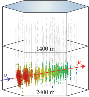  An event in the IceCube neutrino telescope. Photomultipliers attached to strings buried deep in the Antarctic ice detect the bursts of light emitted when a neutrino collides with the ice and produces a muon. The event shown was generated by an upward moving muon, which was produced by an upward moving muon neutrino that passed through the Earth.  APS/Joan Tycko;