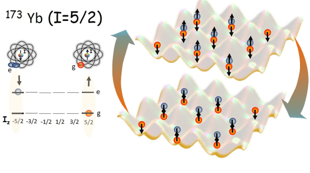 The researchers observed for the first time coherent oscillations between two spin states: |e↑,g↓〉⇔|e↓,g↑〉. From the oscillation frequency, they determine the spin-exchange interaction strength. (Credit: APS/Ana Maria Rey)