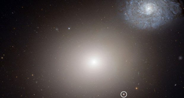 ITTY BITTY LIVING SPACE  The tiny galaxy M60-UCD1 (circled in white) harbors a black hole with the mass of around 21 million suns. M60-UCD1 may be a remnant of a larger galaxy torn apart by the massive galaxy M60 (center), which is also pulling in a nearby spiral galaxy (upper right). (Credit: NASA, ESA)