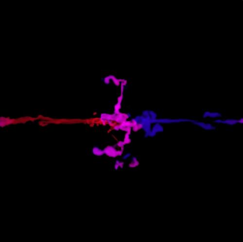 This is an image from a computer simulation shows a collision of two streams of interstellar gas, leading to gravitational collapse of the gas and the formation of a star cluster at the center. In this image, the gas streams were labeled with blue and red "tracer dyes," and the purple color indicates thorough mixing of the two gas streams during the collapse. Credit: Y. Feng and M. Krumholz 