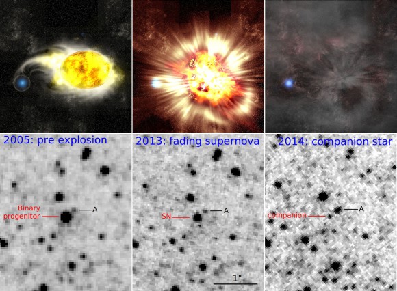 The above sequence depicts a rare supernova explosion. Hubble images (bottom panel) correspond to an artist’s conception (top panel). (Credit: Kavli IPMU / NASA / Gastón Folatelli)
