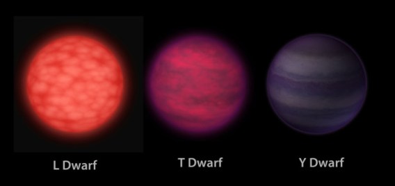 One way that stars are categorized is by temperature. Since the temperature of a star can determine its visual color, this category scheme is known as spectral type. The main categories of spectral type are M, K, G, F, A, B, and O. The coolest stars (red dwarfs) being M, and the hottest stars being O. Our own Sun is a G star. (Credit: B Koberlein, NASA/JPL-Caltech)