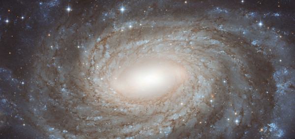 The NASA/ESA Hubble Space Telescope has produced this finely detailed image of the beautiful spiral galaxy NGC 6384. This galaxy lies in the constellation of Ophiuchus (The Serpent Bearer), not far from the centre of the Milky Way on the sky. The positioning of NGC 6384 means that we have to peer at it past many dazzling foreground Milky Way stars that are scattered across this image. In 1971, one member of NGC 6384 stood out against these bright foreground stars when one of its stars exploded as a supernova. This was a Type Ia supernova, which occurs when a compact star that has ceased fusion in its core, called a white dwarf, increases its mass beyond a critical limit by gobbling up matter from a companion star. A runaway nuclear explosion then makes the star suddenly as bright as a whole galaxy. While many stars have already come to the ends of their lives in NGC 6384, in the centre, star formation is being fuelled by the galaxy’s bar structure; astronomers think such galactic bars funnel gas inwards, where it accumulates to form new stars. This picture was created from images take with the Wide Field Channel of Hubble’s Advanced Camera for Surveys. An image taken through a blue filter (F435W, coloured blue) was combined with an image taken through a near-infrared filter (F814W, coloured red). The total exposure times were 1050 s through each filter and the field of view is about 3 x 1.5 arcminutes. (Credit NASA)