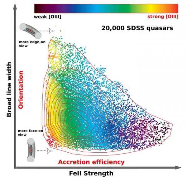 This graph shows the distribution of about 20,000 luminous Sloan Digital Sky Survey quasars in the two-dimensional space of broad line width versus FeII strength, color-coded by the strength of the narrow [OIII] line emission. The strong horizontal trend is the main sequence of quasars driven by the efficiency of the black hole accretion, while the vertical spread of broad line width is largely due to our viewing angle to the inner region of the quasar. (Credit: Y. Shen, L. Ho, KIAA)