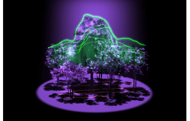 NASA has a new project underway called GEDI. The sole purpose of GEDI is to point a laser-based device at Earth from the International Space Station in order to map out forests in 3D, eventually determining the amount of carbon in Earth’s forests. (Credit: NASA's Goddard Space)