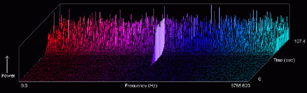 The image above shows a graphic which was produced by the SETI from the data of the Wow signal. A signal (Gaussian, triplet or pulse) arises only in a single narrowband channel. All other channels contain noise. Up to now we do not know cosmic phenomena which would generate such signals. It would seem improbable that they have no artificial origin. The picture shows a computer generated example of a strong Gaussian signal.