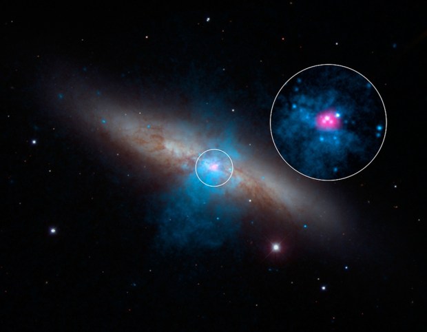 Astronomers have found a pulsating dead star beaming with the energy of about 10 million Suns, which is the brightest pulsar ever recorded..  A rare and mighty pulsar (pink) can be seen at the center of galaxy M82 in this new multi-wavelength portrait. NASA's NuSTAR mission discovered the "pulse" of the pulsar — a type of dead star — using is high-energy X-ray vision.
