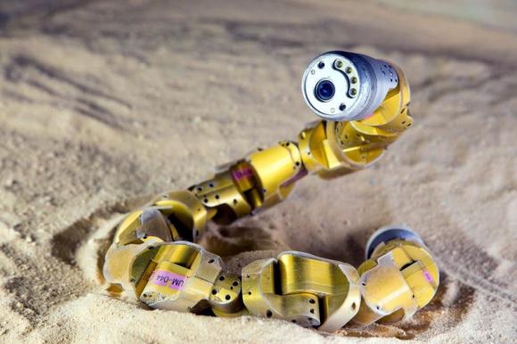  Researchers on Thursday said they conducted experiments to learn precisely how sidewinder rattlesnakes are able to climb sandy hills, then applied the reptiles' repertoire to an existing snake robot so it could do the same thing. Credit:  Chaohui Gong., Reuters/Chaohui Gong/Handout via Reuters) 