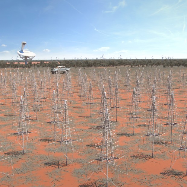 Close up artist rendition. Image of the Australian SKA LFAA (Low Frequency Aperture Array) instrument. These dipole antenna which will number in their hundreds of thousands will survey the radio sky in frequencies as low at 50Mhz (Credit: SKA Organisation)