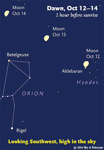 The waning Moon and Orion tip to the southwest as dawn brightens. (The Moon in these scenes is always shown three times its actual apparent size.. (Credit: Sky and Telescope)