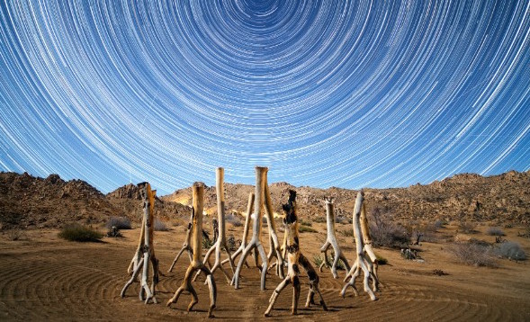 Last December, Jason Hullinger went to Joshua Tree National Park to catch the Geminid meteor shower. He set up his tripod to take 20-second exposures from about 11 p.m. Thursday to 3 a.m. Friday. (Credit: Jason Hullinger)