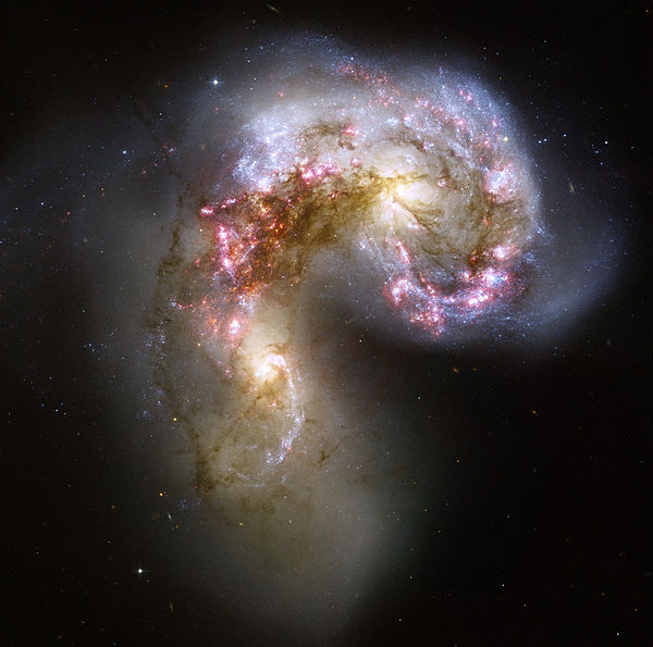 The Antennae Galaxies are an example of a starburst galaxy occurring from the collision of NGC 4038/NGC 4039. (Credit: NASA/ESA)