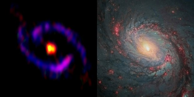 The central part of the galaxy M77, also known as NGC 1068, observed by ALMA and the NASA/ESA Hubble Space Telescope. Yellow: cyanoacetylene (HC3N), Red: carbon monosulfide (CS), Blue: carbon monoxide (CO), which are observed with ALMA. While HC3N is abundant in the central part of the galaxy (CND), CO is mainly distributed in the starburst ring. CS is distributed both in the CND and the starburst ring. Credit: ALMA(ESO/NAOJ/NRAO), S. Takano et al., NASA/ESA Hubble Space Telescope 