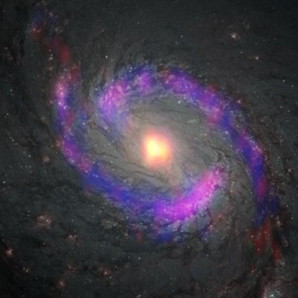 ellow: cyanoacetylene (HC3N), Red: carbon monosulfide (CS), Blue: carbon monoxide (CO), which are observed with ALMA. While HC3N is abundant in the central part of the galaxy (CND), CO is mainly distributed in the starburst ring. CS is distributed both in the CND and the starburst ring. (ALMA (ESO/NAOJ/NRAO), S. Takano et al., NASA/ESA Hubble Space Telescope and A. van der Hoeven)
