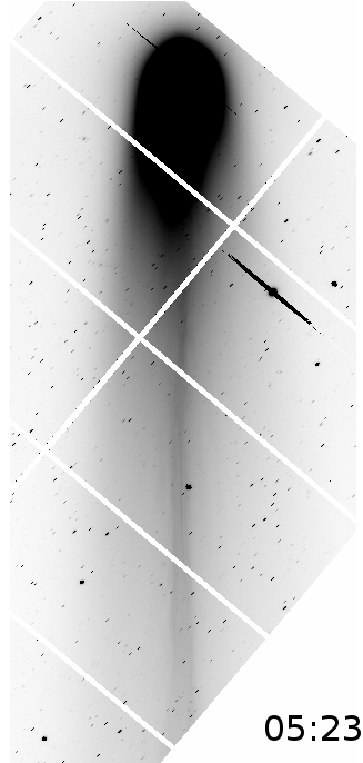 This GIF animation shows changes in the global structure of Comet Lovejoy’s (C/2013 R1) plasma tail. The time stamp at the bottom right shows the start time of each of three 2-minute exposure in Hawaii time on the morning of 12/4/13. In these I-band images, the tail narrows with time, especially downstream of the nucleus (at the bottom of the image). Moreover, two clumps were detected formed at about 0.3 million kilometers from the nucleus. Note: The image is aligned so that the nucleus of the comet is at the same position and the tail lies vertically. Bright parts of the sky are shown as black, and dark parts are shown as white, allowing astronomers to see details in the object more clearly. The white tilted grid is a gap between CCD detectors. Credit: National Astronomical Observatory of Japan. Images processed by M. Yagi. Credit: the National Astronomical Observatory of Japan. Images processed by M. Yagi
