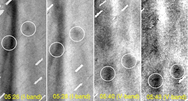 This shows movement of the two clumps in the plasma tail. Time stamps in yellow show the start time of the exposure. White circles indicate the clumps detected in the study. They move away from the nucleus over time. The size of the cutout is about 2500 X 5600 kilometers. The research team calculated the speed of the clumps at 20-25 kilometers per second. Note: Images produced from 2-minute exposures are further processed; background star trails are masked, and unsharp-masked to enhance detailed structures. The masked star trails are seen as short tilted white lines. Credit: the National Astronomical Observatory of Japan. Images processed by M. Yagi. 